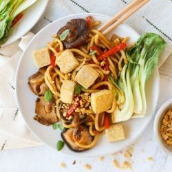 Vegan Udon Noodles with Spicy Sauce