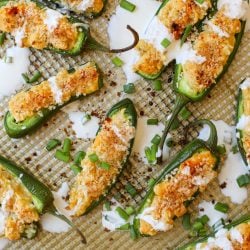 Plant Based Jalapeno Poppers- Healthyish Foods