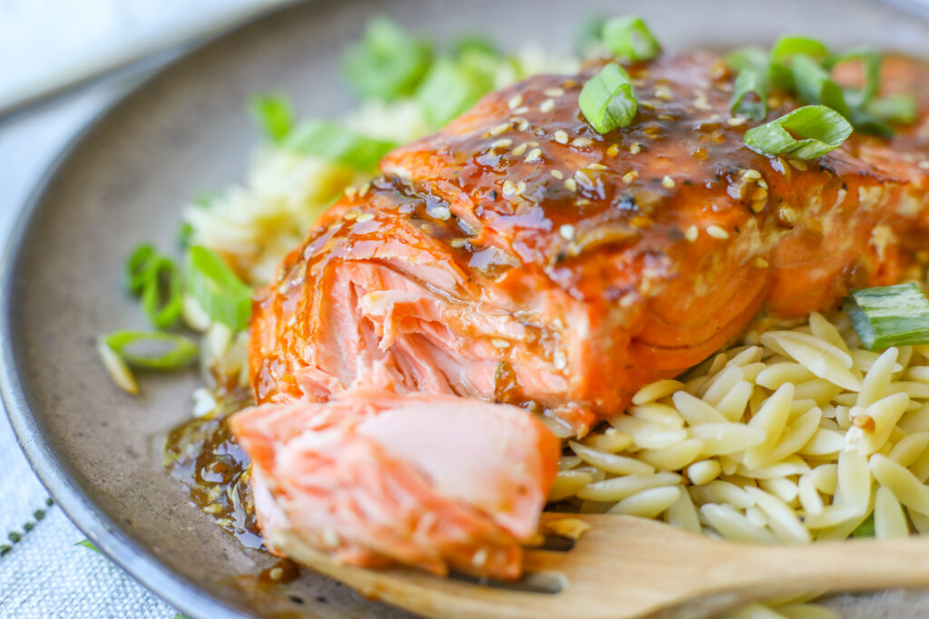 Pan Seared Teriyaki Salmon- Healthyish Foods