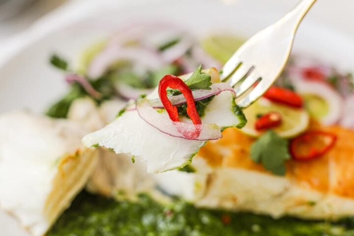 Pan Seared Halibut with Cilantro Lime Sauce