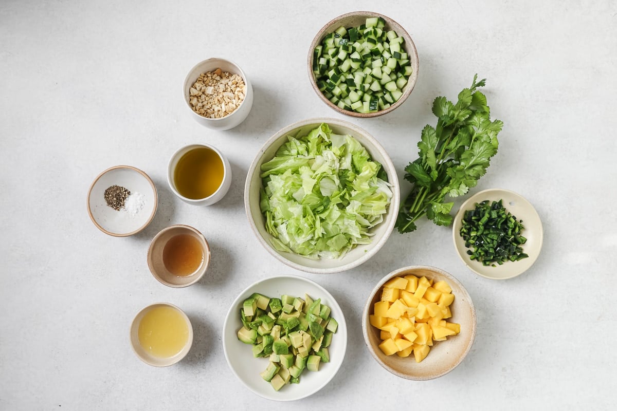 ingredients needed for chopped mango salad. 