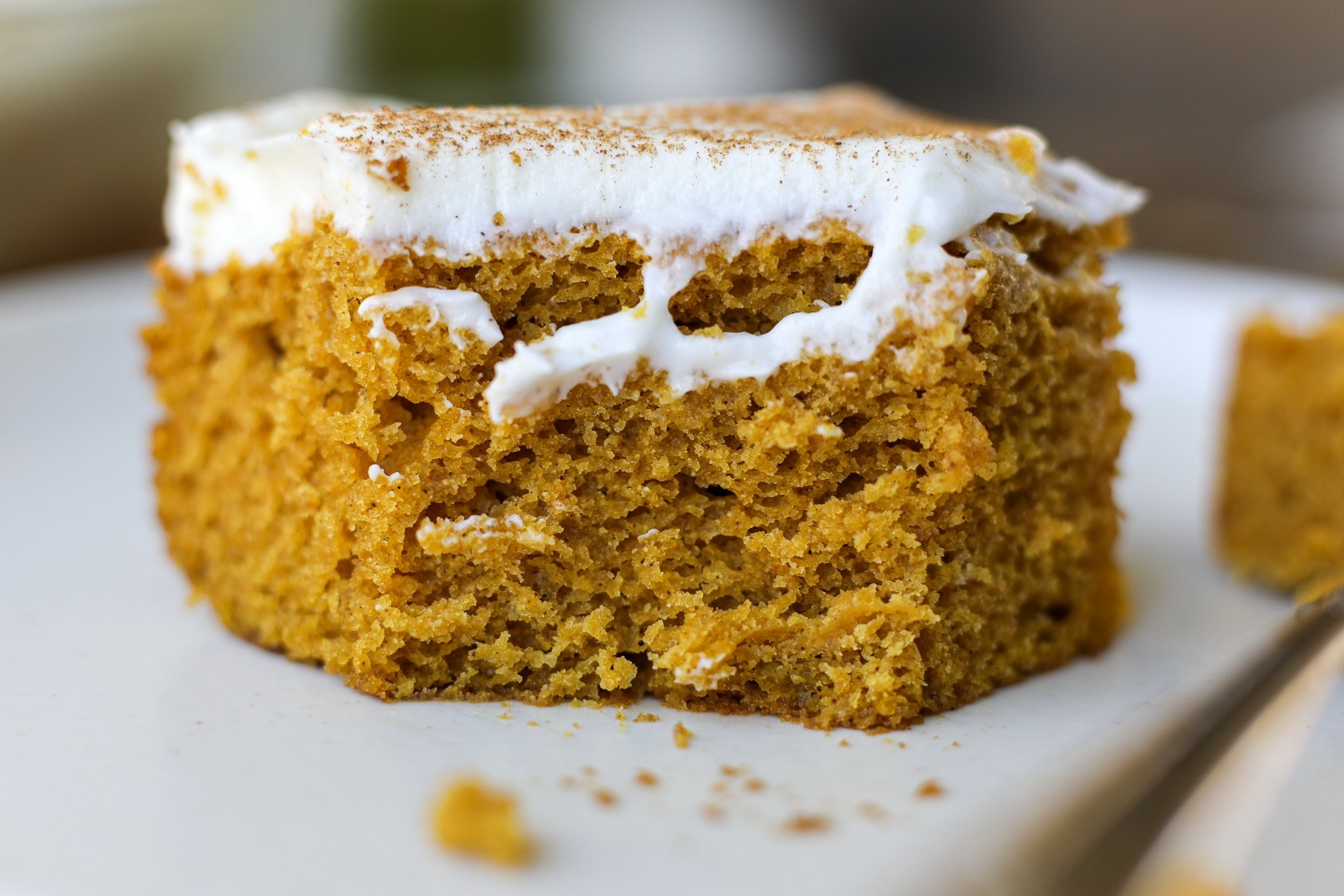 Chocolate Pumpkin Spice Bundt Cake – Like Mother, Like Daughter