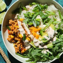 Santa Fe Inspired Chicken Bowls – Healthyish Foods